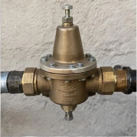 Water heater beside a luxury Palm Beach County residence